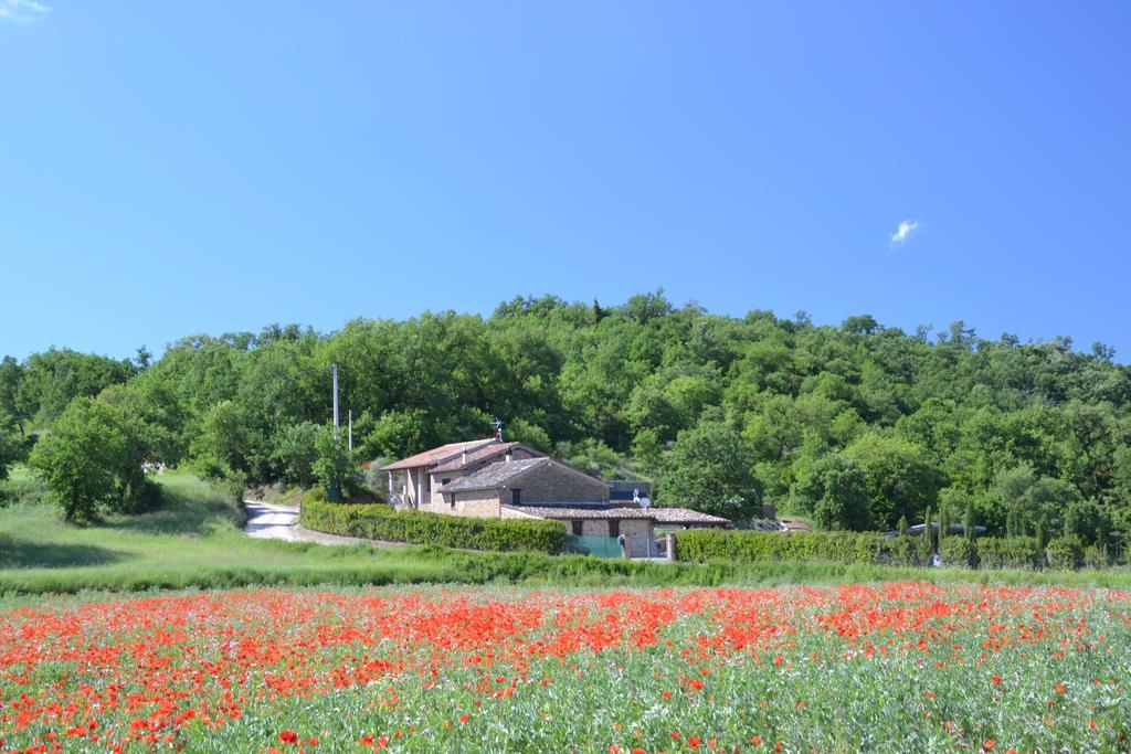 Casa Nestore Holiday Apartments Castiglione della Valle 外观 照片